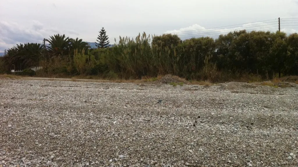 Beach-facing vegetation and land at Porovitsa